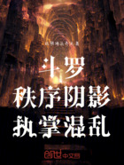 斗罗:秩序阴影,执掌混乱在线阅读