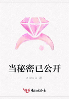 當秘密已公開在線閱讀