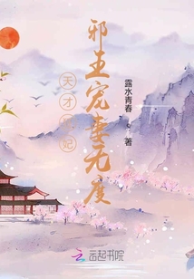 天才狂妃,邪王宠妻无度