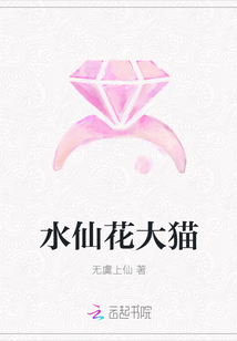水仙花大貓