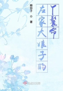 左家大娘子的丫鬟命