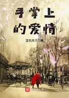 手掌上的爱情