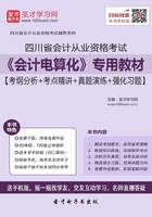 四川省会计从业资格考试《会计电算化》专用教材【考纲分析＋考点精讲＋真题演练＋强化习题】在线阅读