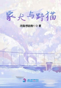 家犬與野貓