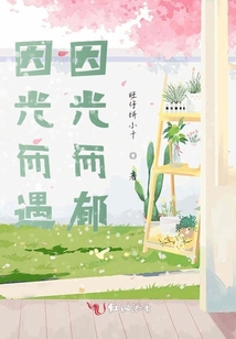 因光而遇，因光而郁