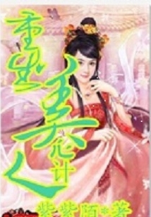 重生美人心計