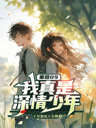 重生09:我真是深情少年在线阅读