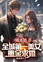 刚离婚,全城第一美女重金求婚在线阅读