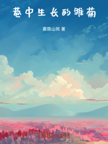 巷中生長的雛菊