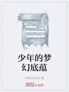 少年的梦幻底蕴在线阅读