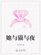 她与猫与夜在线阅读