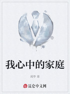我心中的家庭在线阅读