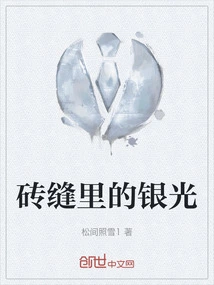 Silver Light in the Cracks of Bricks