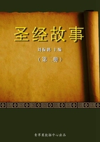 圣经故事(第二册)在线阅读