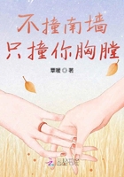 不撞南墙,只撞你胸膛在线阅读