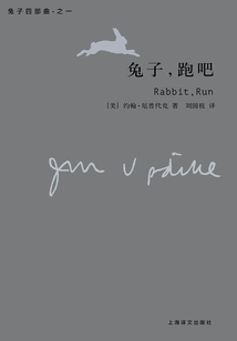 兔子，跑吧（兔子四部曲）