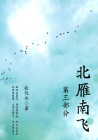 北雁南飞·第三部分(张恨水经典小说)在线阅读