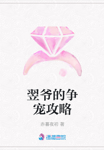 翌爺?shù)臓?zhēng)寵攻略