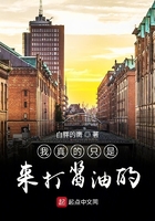 我真的只是來打醬油的在線閱讀