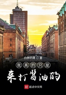 我真的只是來打醬油的