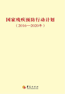 国家残疾预防行动计划