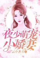 夜少萌宠小娇妻