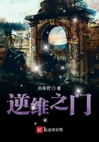 網游之逆維之門在線閱讀
