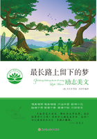 最長路上留下的夢在線閱讀