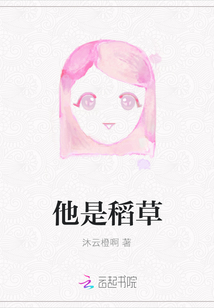 他是稻草