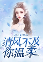 清風不及你溫柔在線閱讀