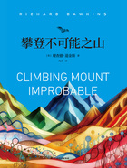 攀登不可能之山