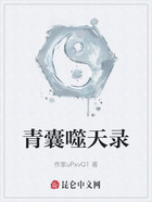 青囊噬天录在线阅读