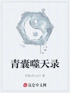 青囊噬天录在线阅读