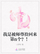 我是被师尊捡回来第n个?!在线阅读
