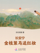 长安宁:金枝策马送红妆在线阅读