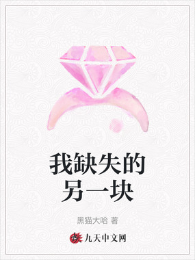 我缺失的另一块在线阅读