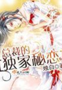 總裁的獨家秘戀