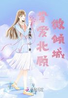 摯愛北顧微傾城在線閱讀