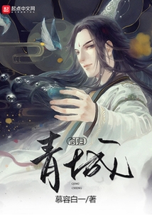 剑归青城 cover