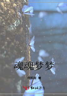 魂魂夢夢