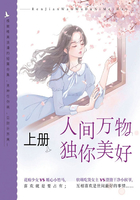 人间万物,独你美好(上册)