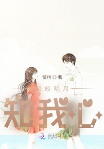皎皎明月知我心