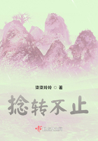 捻转不止在线阅读