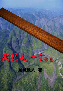 我只是一個修墓人