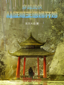穿越武俠：從征服王語嫣開始