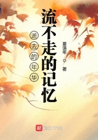 逝去的年華流不走的記憶在線閱讀