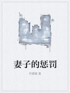 妻子的懲罰在線閱讀