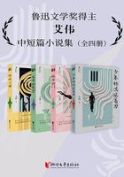 艾伟中短篇小说集(套装4册)在线阅读