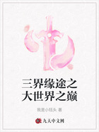 三界缘途之大世界之巅在线阅读