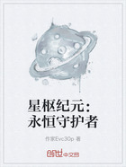 星樞紀元：永恒守護者在線閱讀
